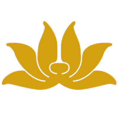 Vietnam Airlines (VNA)