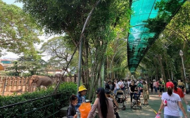 TP Hồ Chí Minh tạm dừng tất cả các hoạt động đông người không cần thiết
