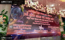 Vụ chuyển nhượng cây lan đột biến Phi điệp Hồng Hạ Vân trị giá 5,5 tỷ đồng