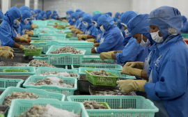 Bất chấp Covid-19, hàng Việt vẫn đi khắp thế giới