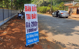 Cách nhận biết và phòng trách sốt đất ảo
