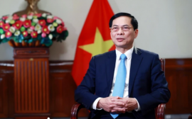 Bộ trưởng Bùi Thanh Sơn: Đã rõ bản sắc 'ngoại giao cây tre Việt Nam'