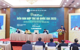 Các tổ chức kinh tế tập thể cần tăng đầu tư vào chuyển đổi xanh, công nghệ xanh