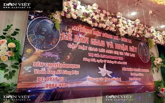 Vụ chuyển nhượng cây lan đột biến Phi điệp Hồng Hạ Vân trị giá 5,5 tỷ đồng